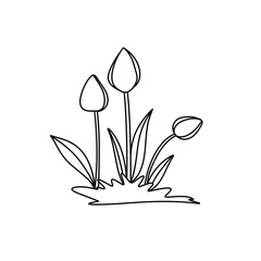A drawing of three tulips with green stems