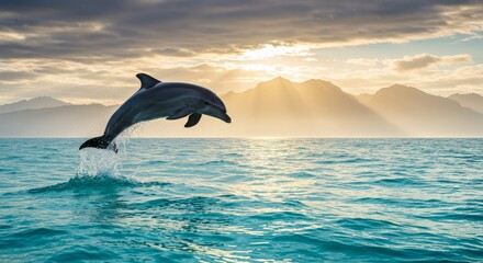 Fototapeta premium Dolphin Leap at Sunset Over Misty Mountains - A dolphin leaps gracefully from the ocean, silhouetted against a vibrant sunset. The symbolizes freedom, joy, nature's beauty, wildlife