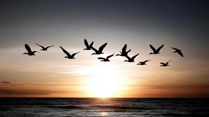 Fototapeta premium A bird sanctuary with various species flying freely in their natural habitat