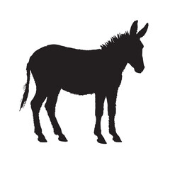 Hand drawn donkey silhouette on white background