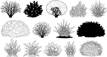 set of bush grass shrub herb silhouette vector transparent background
