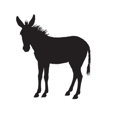 silhouette of a donkey
