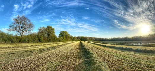 Panorama d’un champ après les foins 