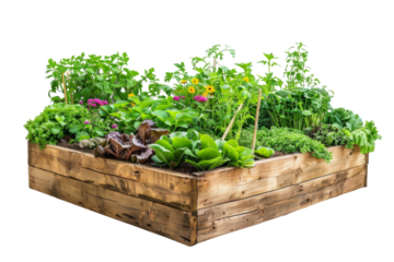 Raised Garden Beds Isolated On Transparent Background