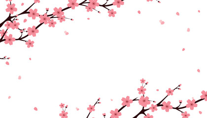 Frame illustration of cherry blossoms and falling petals, Minimalist cherry blossom branch with pink flowers on a white background. on white background with space for text