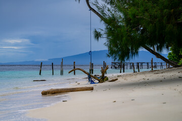 Serene tropical beach with a tree swing and driftwood on the shore of Fam Island