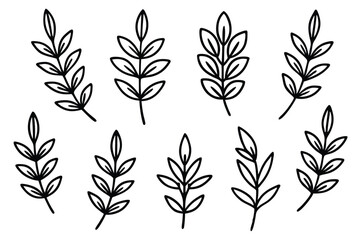 Stylized Thyme Leaf Icons Set