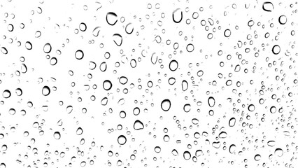 rain drops on the transparent grunge background