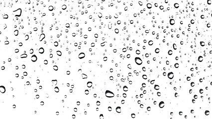 rain drops on the transparent grunge background