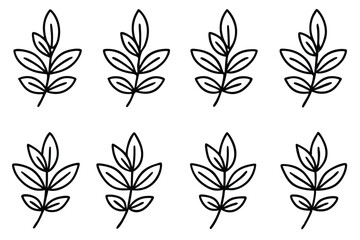 Detailed Thyme Leaf Vector Collection