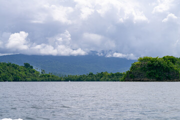 Tranquil jungle scene with vibrant rainforest canopy under a brooding sky near the sea