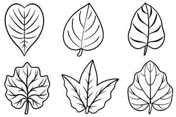 Taro Leaf Silhouette Set