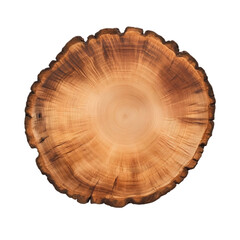 Obraz premium Natural Wood Slice Tree Cross Section Wooden Texture Rustic Background Organic Design