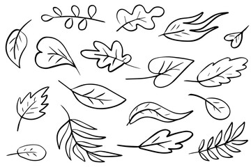 Collection of hand-drawn leaf illustrations in various shapes and styles on white background – perfect for botanical design, nature-themed projects, coloring books, and decorative elements.