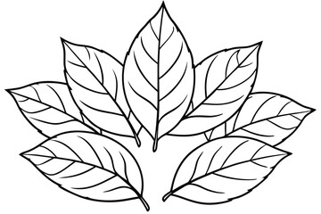 Different Tobacco Leaf Types Illustration