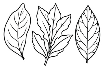Tobacco Leaf Silhouette Pack