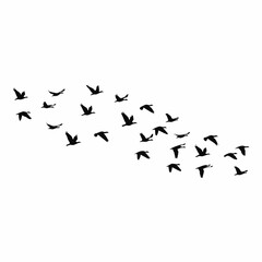 Flock of Birds in Flight Silhouette Vector Illustration. Vector Image