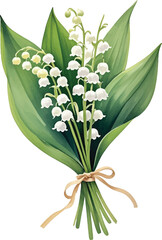 Fototapeta premium watercolor Lily of the Valley flower bouquet illustration