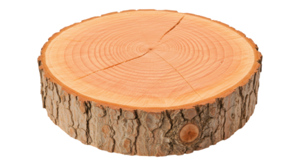 Isolated Wood Log
