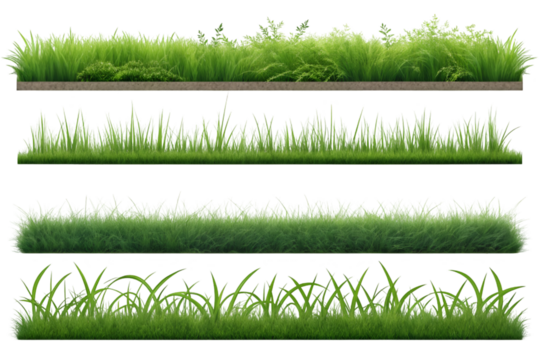 Set of green grass on transparent background 