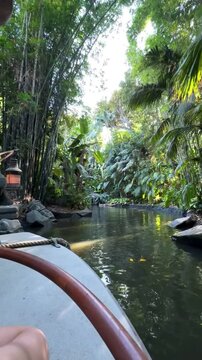 A boat sails along a river in clear weather among the jungle in vertical video