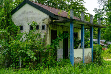 Overgrown and abandoned rural house with blue columns being slowly reclaimed by nature