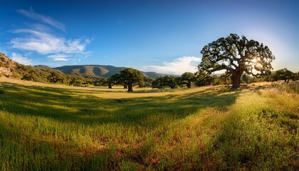 Obraz premium landscape with trees