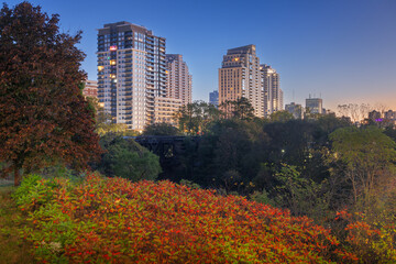 Obraz premium London, Ontario, Canada Skyline in Autumn