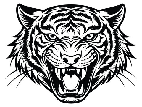 Wild feline predator vector illustration of a tiger head, a powerful animal design