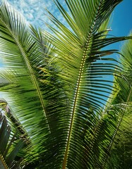 Fototapeta premium Bright palm fronds reach towards the sun, showcasing nature vibrant beauty in a tropical setting.