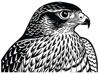 A vector illustration of a bird, a sketch-like drawing