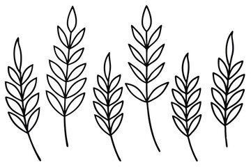 Stylized Vetch Leaf Graphics Set