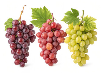 Fototapeta premium grape images with white background