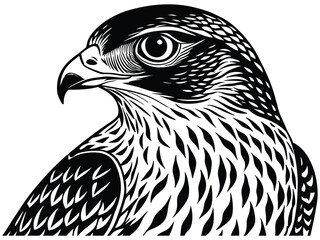 Majestic brown eagle, a wild bird of prey with a sharp beak, vector illustration