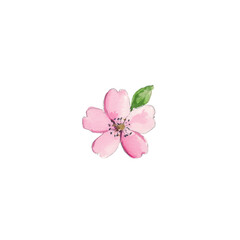Naklejka premium A delicate pink flower illustrated with soft watercolor textures, showcasing its petals and green leaf against a white background.
