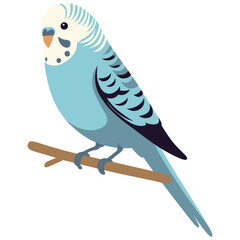 Budgie Pet Illustration.