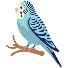 Budgie Pet Illustration.