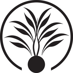 A Closer Look Illustrating the Unique Features of an Exotic Plant in Detail
