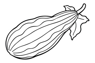 Botanical Zucchini Leaves for Decor