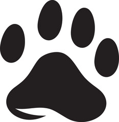 From Kittens to Cats How Paw Characteristics Change as They Grow