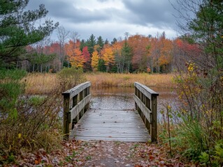Bridge in rectangular framing with overcast lighting and negative space above
