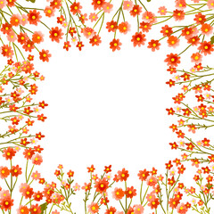 Square border frame card   watercolor red field flowers set with small wildflowers. Botanical illustration. Blossom hand drawn illustration. Easter background