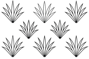 Yucca Leaf Set with Botanical Elements