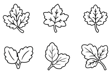 Watercress Leaves Vector Set