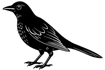 Stunning image of a wild bird in its natural habitat, showcasing the grace, color, and freedom of avian wildlife. Ideal for use in nature-themed projects, birdwatching content, environmental campaigns