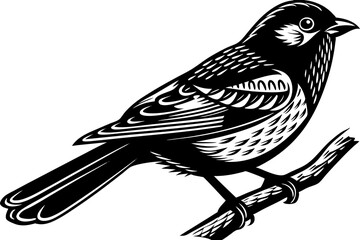 Stunning image of a wild bird in its natural habitat, showcasing the grace, color, and freedom of avian wildlife. Ideal for use in nature-themed projects, birdwatching content, environmental campaigns