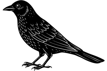 Stunning image of a wild bird in its natural habitat, showcasing the grace, color, and freedom of avian wildlife. Ideal for use in nature-themed projects, birdwatching content, environmental campaigns