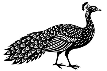 Stunning image of a wild bird in its natural habitat, showcasing the grace, color, and freedom of avian wildlife. Ideal for use in nature-themed projects, birdwatching content, environmental campaigns