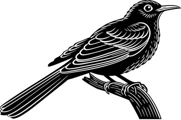 Stunning image of a wild bird in its natural habitat, showcasing the grace, color, and freedom of avian wildlife. Ideal for use in nature-themed projects, birdwatching content, environmental campaigns