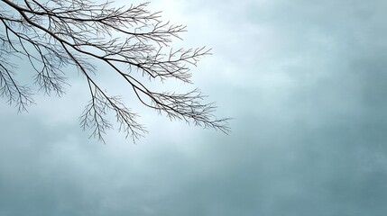Bare tree branch silhouette against a cloudy blue sky background creating a serene natural atmosphere
